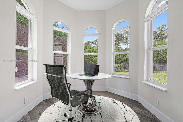 interior space with a wealth of natural light and dark wood-type flooring