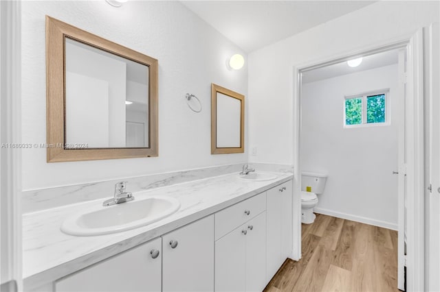 bathroom with vanity, hardwood / wood-style flooring, and toilet