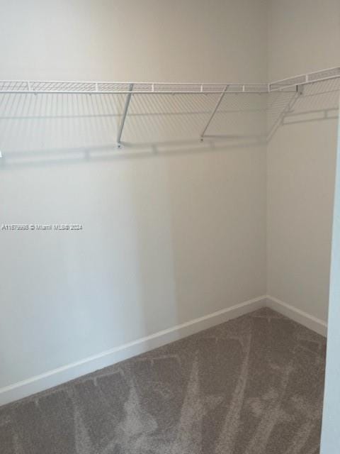 walk in closet with dark colored carpet