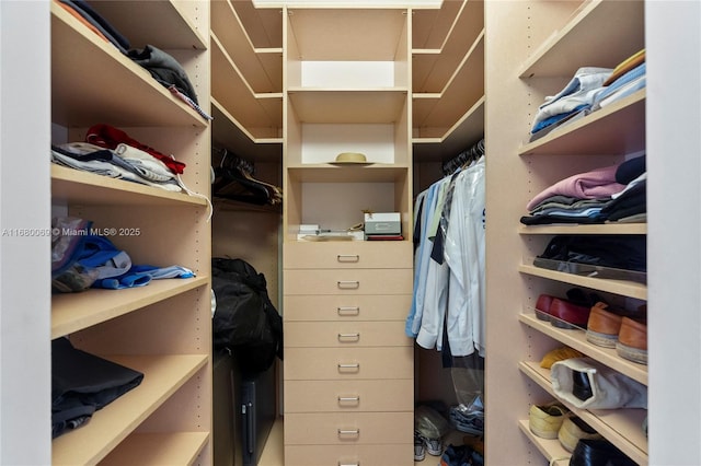 view of spacious closet