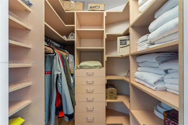 view of spacious closet