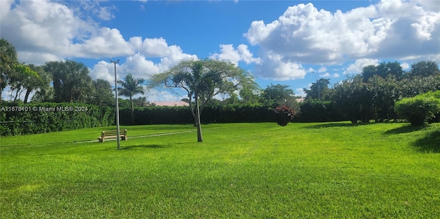 view of community with a lawn