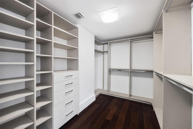 spacious closet featuring dark wood-type flooring