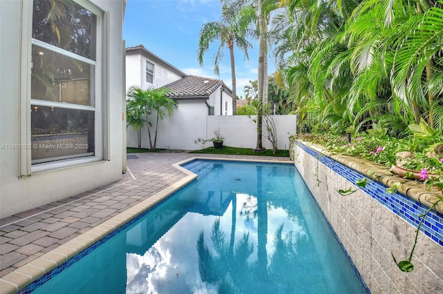 view of pool featuring a patio