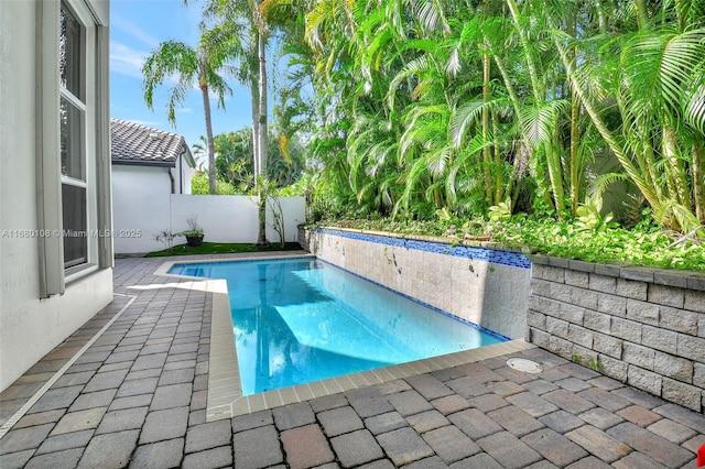 view of swimming pool