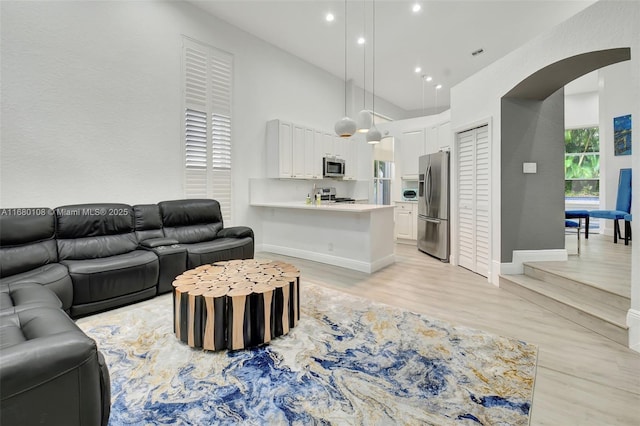 living room featuring light hardwood / wood-style floors