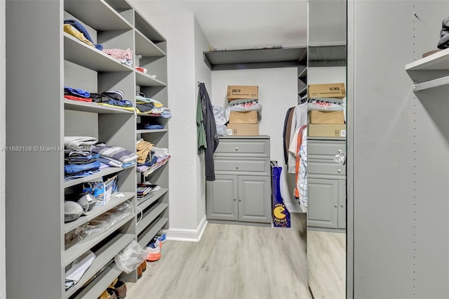 spacious closet with light hardwood / wood-style floors