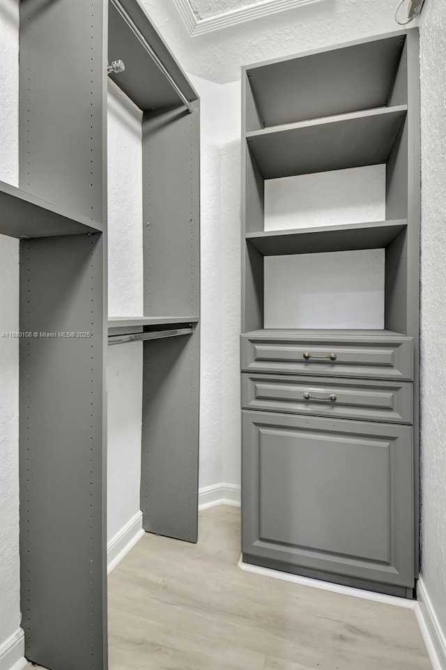 walk in closet with light hardwood / wood-style floors