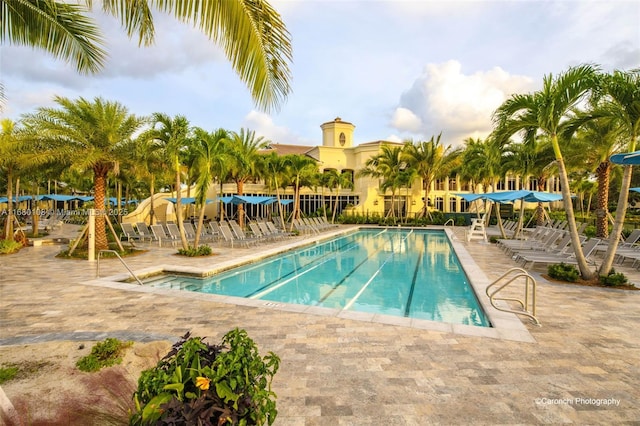 view of swimming pool with a patio