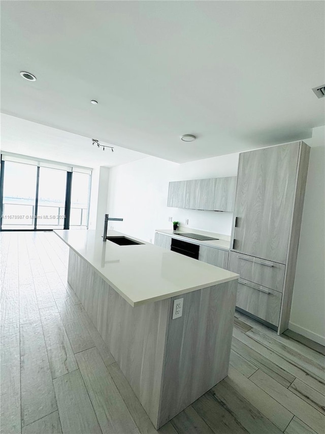 kitchen with sink, a kitchen island with sink, and light hardwood / wood-style flooring