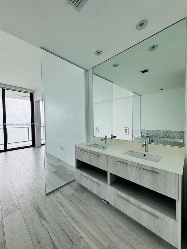 bathroom with vanity and wood-type flooring