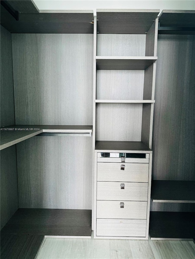 walk in closet featuring hardwood / wood-style flooring