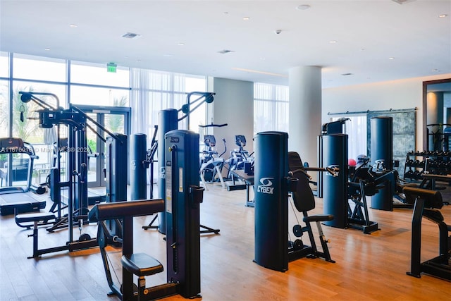 exercise room featuring light hardwood / wood-style flooring and floor to ceiling windows