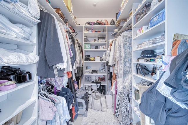 spacious closet with light colored carpet