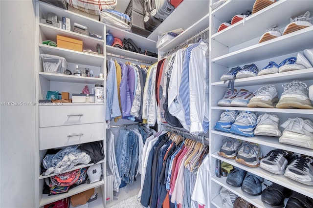 view of walk in closet