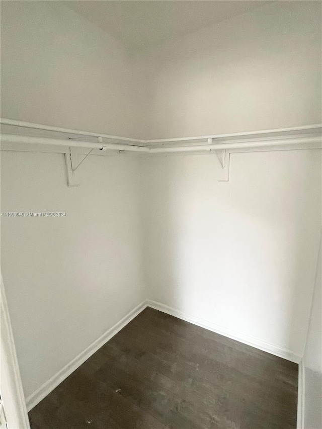 spacious closet featuring dark wood-type flooring