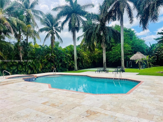 view of swimming pool featuring a patio area