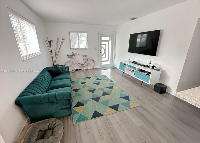 living room featuring wood-type flooring