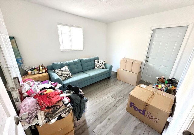 living room with light wood-style flooring