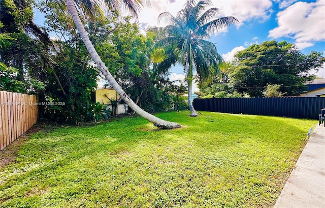 view of yard featuring a fenced backyard