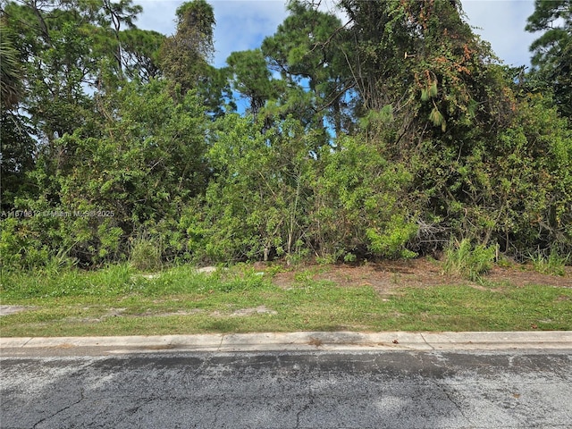 125 Cardinal Dr, Sebastian FL, 32958 land for sale