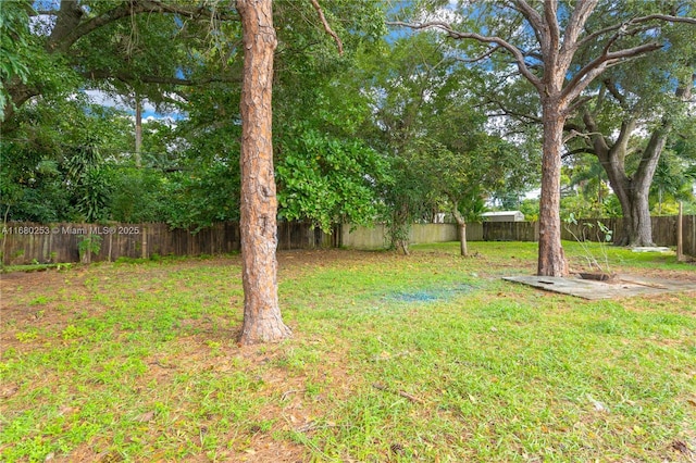 view of yard featuring a fenced backyard