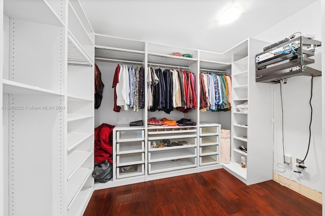 walk in closet with hardwood / wood-style flooring