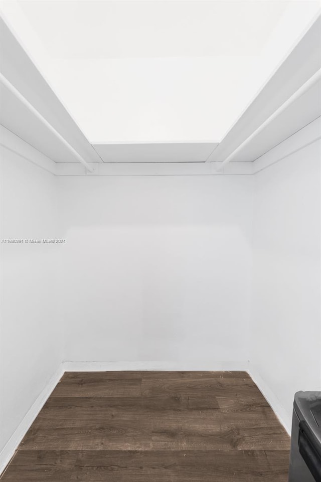 spacious closet featuring dark wood-type flooring