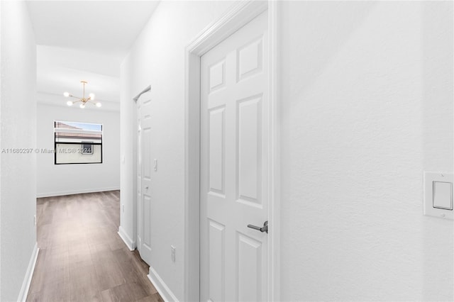 hallway with a chandelier and hardwood / wood-style flooring