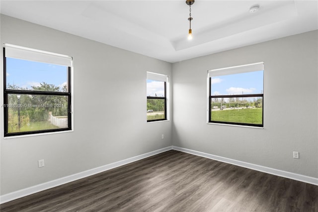 empty room featuring dark wood-type flooring and a tray ceiling