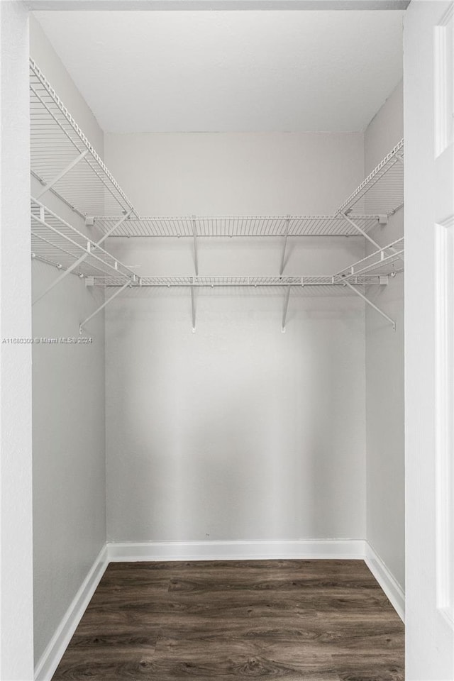 spacious closet featuring dark wood-type flooring