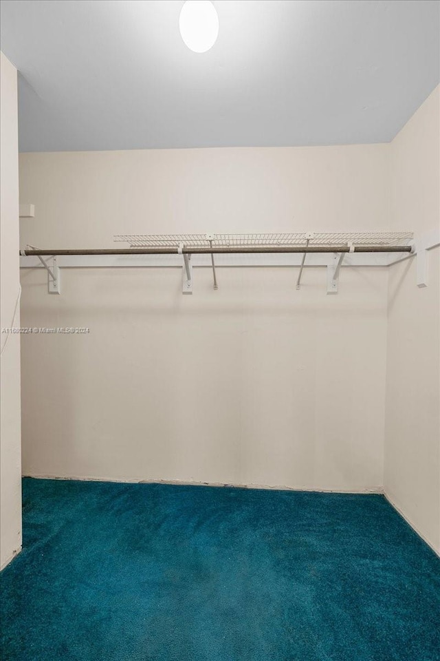 walk in closet with dark carpet