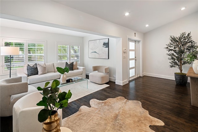 living room with dark hardwood / wood-style floors