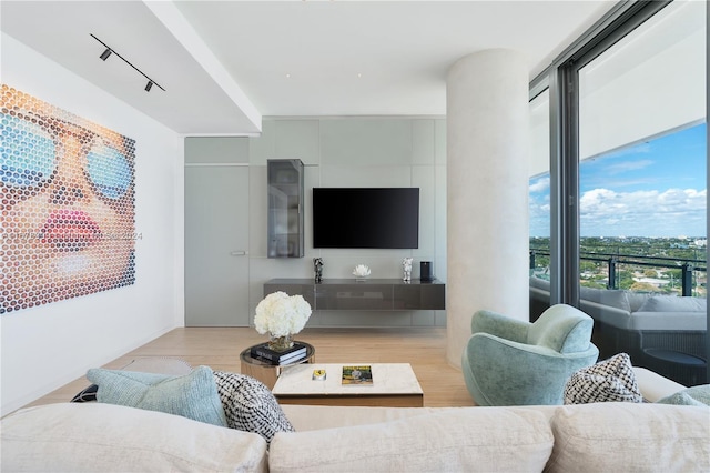 living room with light hardwood / wood-style floors