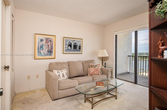 carpeted living room featuring a textured ceiling