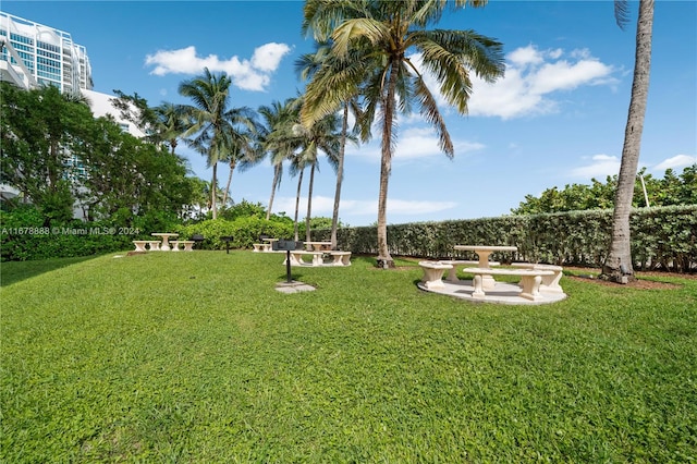 6767 Collins Ave Unit 602, Miami Beach, FL 33141 - view of grassy yard