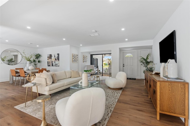 living room featuring wood-type flooring