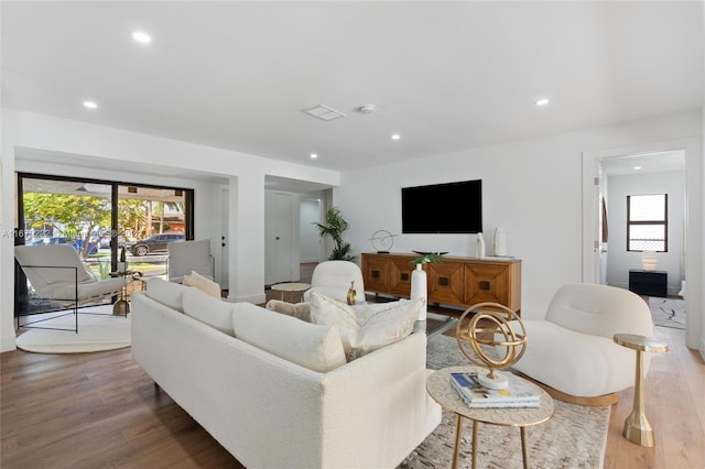 living room featuring hardwood / wood-style floors