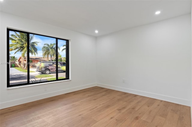 spare room featuring a healthy amount of sunlight and light wood-type flooring