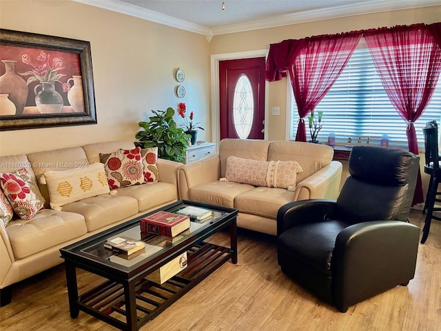 living room with ornamental molding, a textured ceiling, and light wood-type flooring