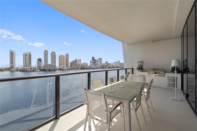 balcony with a grill and a water view