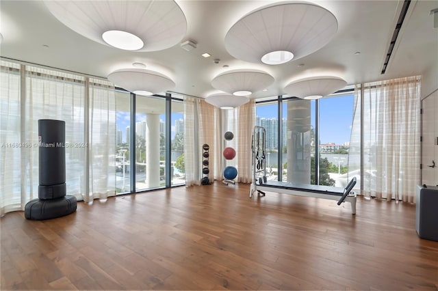 interior space with floor to ceiling windows and wood-type flooring