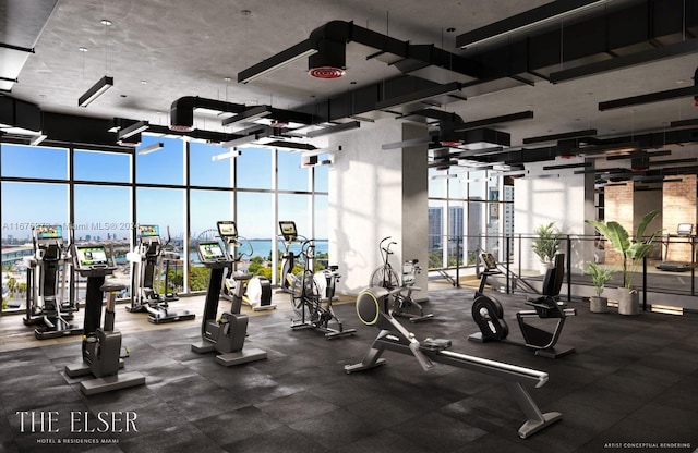 workout area with expansive windows and a high ceiling