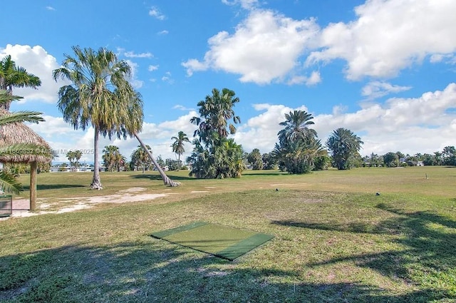 view of property's community with a yard