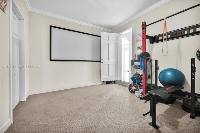 workout room featuring crown molding and carpet