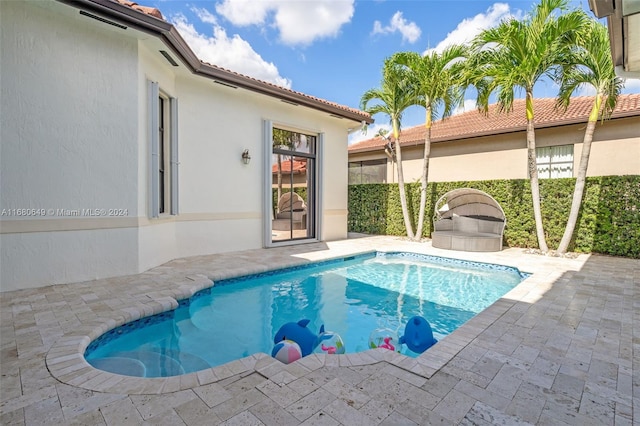 view of swimming pool with a patio