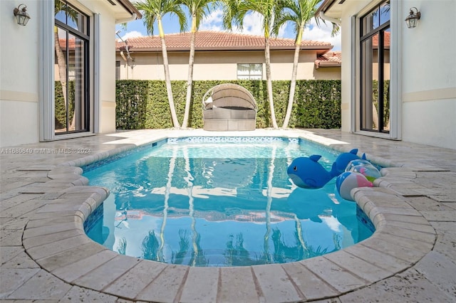 view of swimming pool