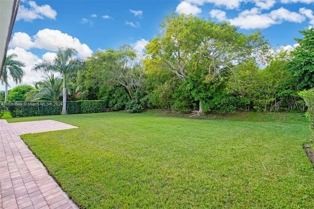 view of yard with a patio