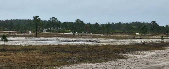 49015 Bermont Rd, Punta Gorda, FL 32825 - photo 2