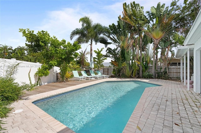 view of pool featuring a patio